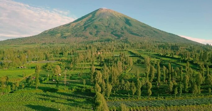 drone flight over wonosobo plantations in central java in indonesia with the mighty mount sindoro in the background