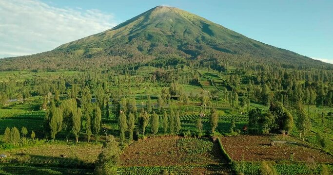 birds eye view over the vast plantations around the mighty mount sindoro near wonosobo in central java indonesia