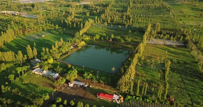 downward drone flight over the fields and an artificial lake in the middle of the plantations collecting rainwater for agricultural purposes at wonosobo in central java indonesia