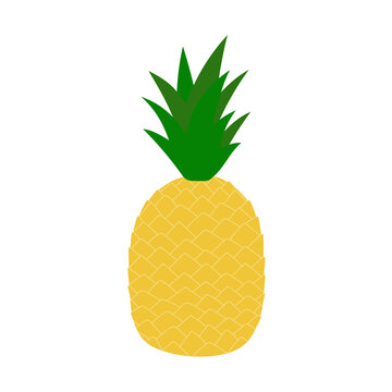 Hand drawn pineapple. Cartoon tropical fruit. Isolated vector illustration. 