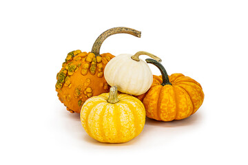 Isolated decorative small pumpkins of different varieties on a white background