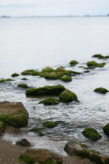 Stones covered with moss laying in open water. Water horizon. Small waves among stones 