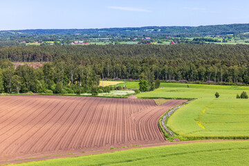 Fototapeta na wymiar Plowed field in a rural landscape view