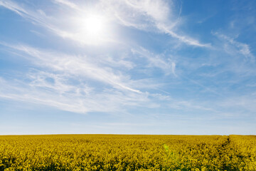 Naklejka premium Meadows with a plant in a valley with fields against the background of the daytime sky in Bulgaria