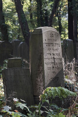 Fototapeta premium Jüdischer Friedhof an der Schönhauser Allee in Berlin Prenzlauer Berg. / Jewish cemetery on Schönhauser Allee in Berlin Prenzlauer Berg.