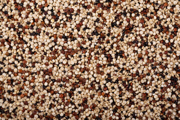 Red, white and brown quinoa.