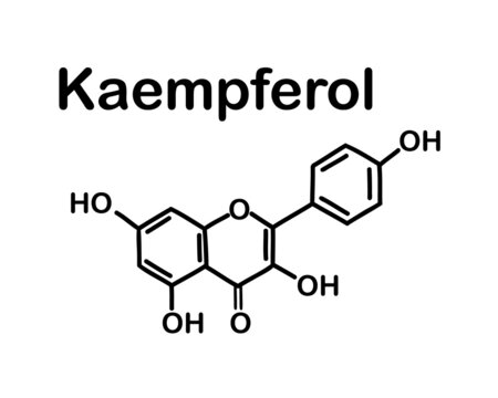 Kaempferol (3,4′,5,7-tetrahydroxyflavone) is a natural flavonol, a type of flavonoid. Chemical structure of Kaempferol . Vector illustration