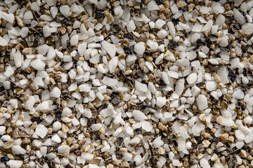 Coarse Salt and Crushed Black Pepper Background, Extreme Macro Shot, Close Up Top View Texture