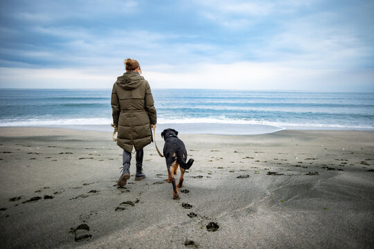 A girl walks with a Rottweiler dog on a leash along the beach in cold weather
