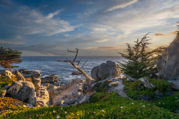 Monterey - view of the coast at sunset.