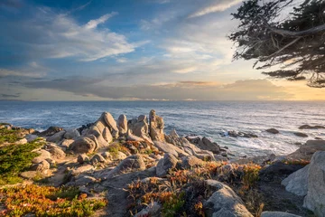 Foto op Plexiglas Monterey - view of the coast at sunset. © Senatorek