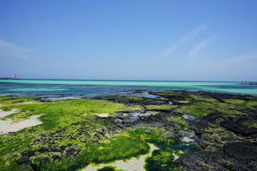 mossy rock beach and turquoise sea