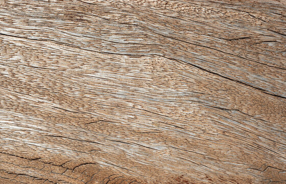 Textura y fondo de tabl&oacute;n de madera vieja cuarteada y con grietas