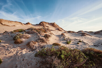 Fototapeta na wymiar Wild sandy landscape, with part of Cresmina Dunes. Beautiful scenery in Portugal.