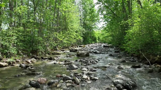 &Uuml;berflug-Szene: idyllischer Wildbach im nat&uuml;rlich felsigen Bachbett