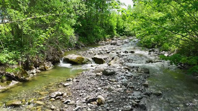 Video-Szene: idyllischer Wildbach im &Uuml;berflug im Bachbett