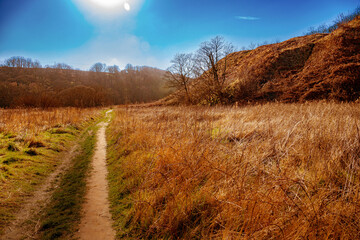 Castle Eden Dene, Durham, north east England, UK