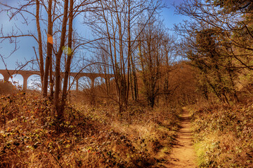Castle Eden Dene, Durham, north east England, UK