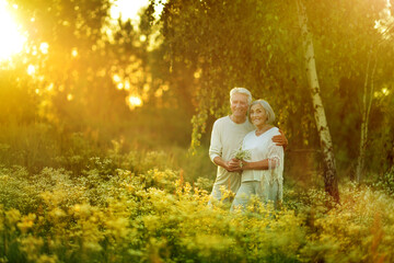 happy senior couple standing  in summer park