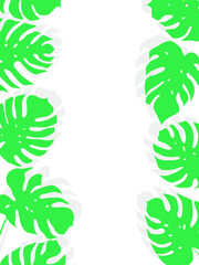 Vector simple card design template with monstera leaves