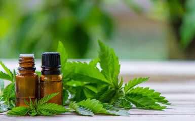 hemp oil. fresh cannabis leaves. Jars of cannabis oil. selective focus