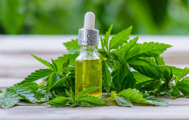 hemp oil. fresh cannabis leaves. Jars of cannabis oil. selective focus