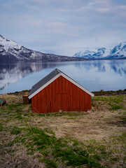 Stunning colorful fjord views. Sunny morning with blue clouds. Mountains covered with clouds in the background. A red fisherman's house is located in the green grass on the seashore. Scandinavian life