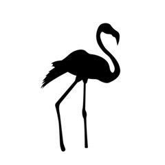 Flamingo Silhouette Vector black illustration Bird silhouette isolated on white 