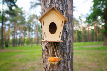 Artificial nesting site for birds in the woods