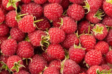 Raspberries background or wallpaper, top view, flat lay	