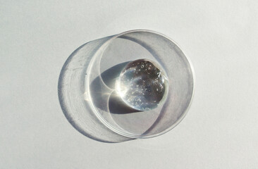 petri dish with transparent helium serum	
