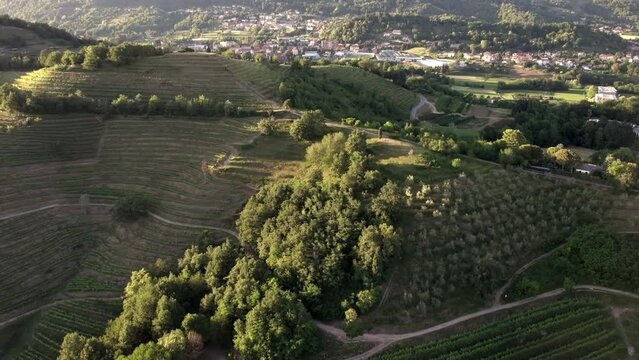 Aerial scenic view of Montevecchia Pyramids hills with vineyards