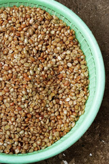 Coffee beans,In the ferment and wash method of wet processing