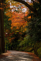 中山温泉と紅葉