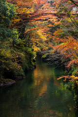 こうろぎ橋と紅葉