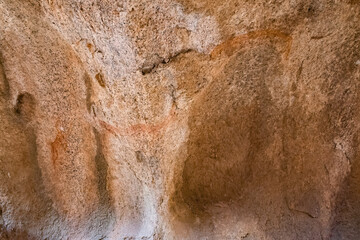 Golden snake and shaman Spitzkoppe Namibia