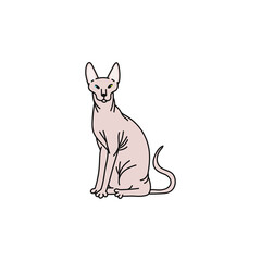 cat breed sphynx contour sketch doodle illustration.