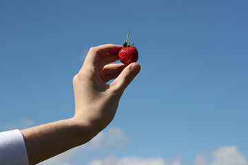 Red strawberry in young man hand and blue sky. Photo was taken 28 May 2022 year, MSK time in Russia.