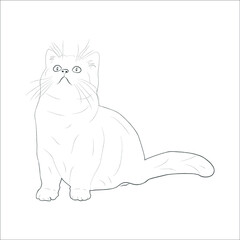 Kitty Cat coloring page Design for Kids Children stock vector style illustration Animal Coloring book page.