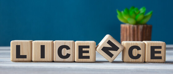 LICENCE - word on wooden cubes on the background of a cactus