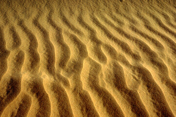 sand, desert, beach, texture, pattern, dune, nature, abstract, wave, dry, sea, ripple, wind, brown, sandy, summer, textured, yellow, ripples, coast, dunes, rippled, hot, waves, sahara, sandridge