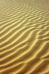 sand, desert, beach, texture, pattern, dune, nature, abstract, wave, dry, sea, ripple, wind, brown, sandy, summer, textured, yellow, ripples, coast, dunes, rippled, hot, waves, sahara, sandridge