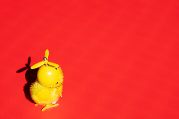 Cute little chick in a helmet is alone on a red background. Conceptual. © Erik González