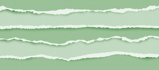 Paper. Vector of ripped paper. the paper was ripped background.