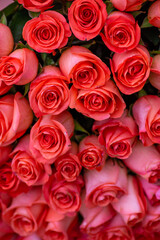 Bouquet of burgundy roses, flower buds as a background. Natural red roses background. Color of the holiday. Gift to a woman. Deep red color.