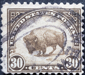 UNITED STATES - CIRCA 1923: a postage stamp from UNITED STATES , showing the national symbol of the...