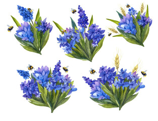 Watercolor blue flowers. Botanical element design template elegant. Florist beautiful design. watercolor decoration drawing painting. hand, graphic wedding. Summer vintage