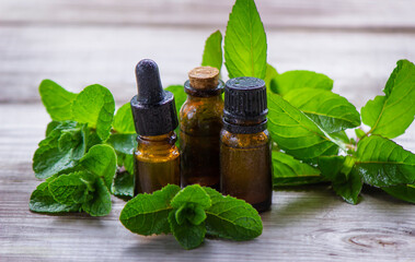 Peppermint essential oil in a small bottle. Selective focus.