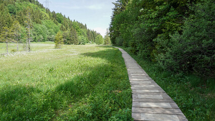 Path in the park in Les Pleiades in Canton Vaud, Switzerland.