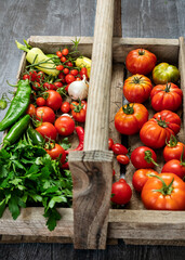 Salsa Ingredients Fresh from the Garden